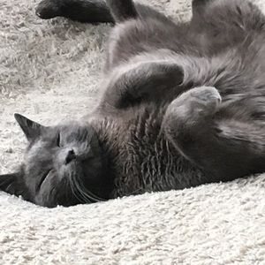 Meet your Posher, Emmie